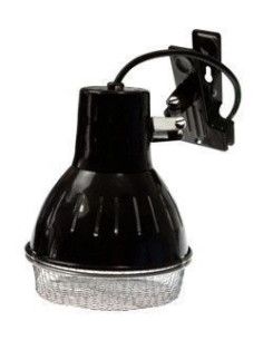 Solarraptor Clamp Lamp (Campana) 70w