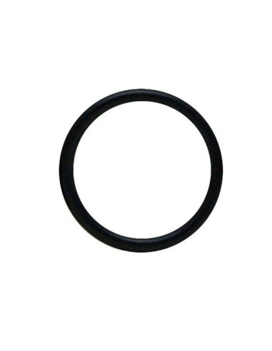 Aquaclear 500 O-Ring