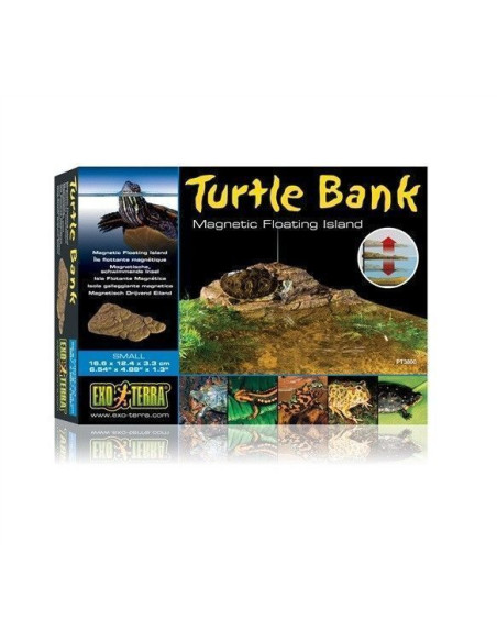 Isla Para Tortuga Magnetica - Pequeña