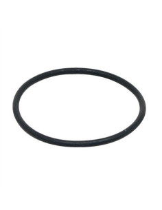 Fluval Junta Torica Motor FX6 (S)