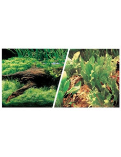 Fondo Plantas/Plantas 45cmx7,6m