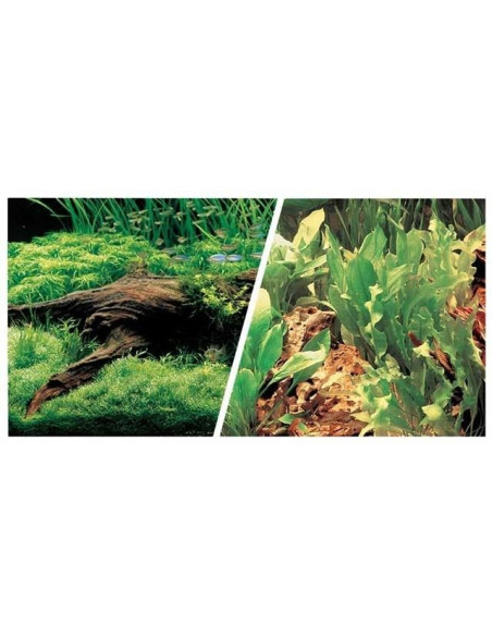 Fondo Plantas/Plantas 45cmx7,6m