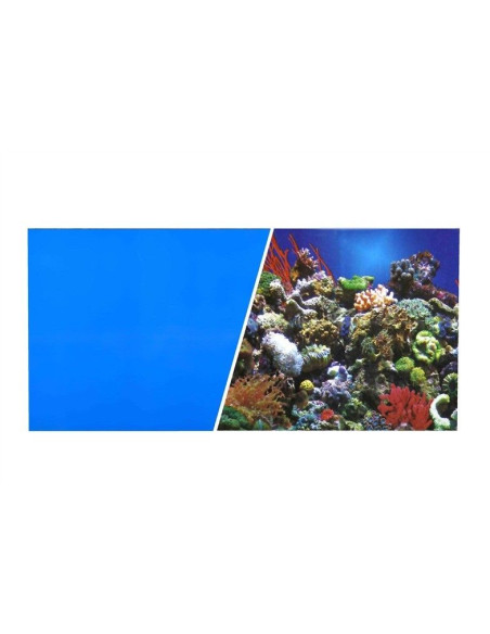 Fondo Azul/Coral 45cmx7,6m