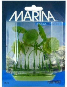 Marina Aquascaper Foreg. Plants  Pennywort 5 Cm