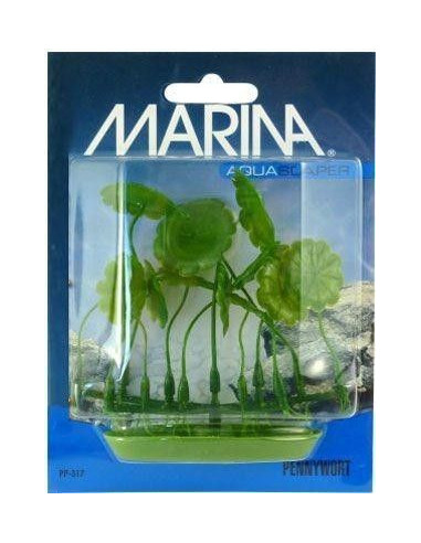Marina Aquascaper Foreg. Plants  Pennywort 5 Cm