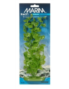 Marina Aquascaper Jumbo  Cardamine