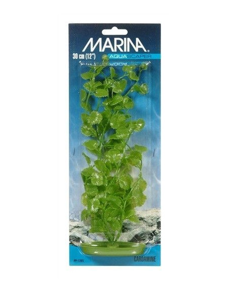 Marina Aquascaper Jumbo  Cardamine