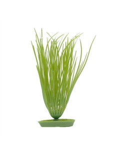 Marina Aquascaper Peq.  Elodea 12,5 Cm