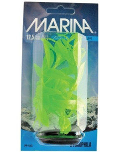 Marina Vibrascaper Peq.  Hygrophila 12,5 Cm
