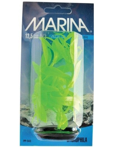 Marina Vibrascaper Peq.  Hygrophila 12,5 Cm