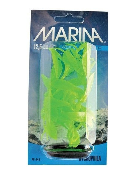 Marina Vibrascaper Peq.  Hygrophila 12,5 Cm