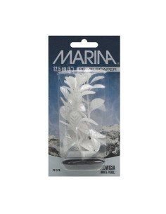 Marina Pearlscaper Peq.  Red Ludwigia 12,5 Cm