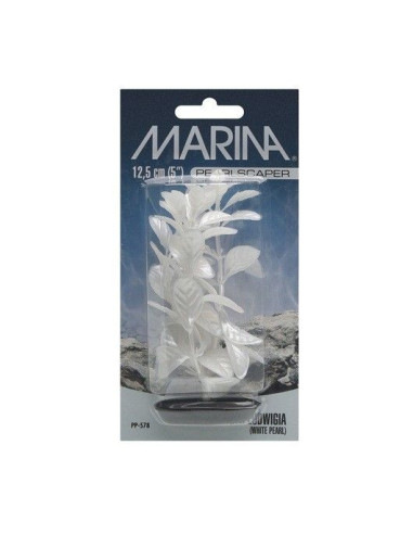 Marina Pearlscaper Peq.  Red Ludwigia 12,5 Cm