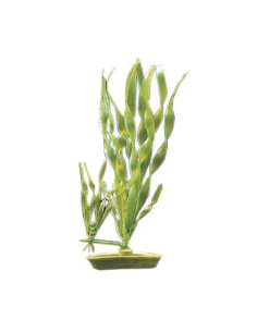 Marina Aquascaper Med. Vallisneria/Corcho 20 Cm
