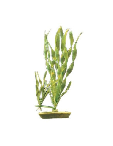 Marina Aquascaper Med. Vallisneria/Corcho 20 Cm