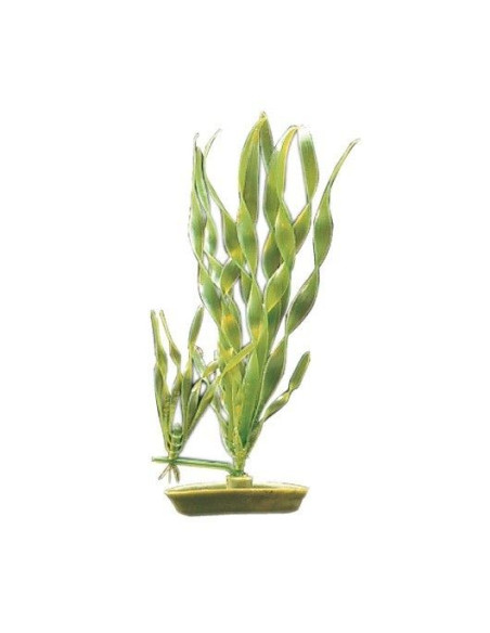 Marina Aquascaper Med. Vallisneria/Corcho 20 Cm