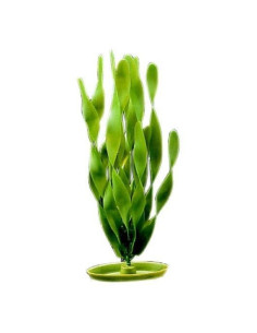 Marina Aquascaper Med.  Vallisneria Gigante 20