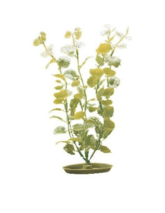 Marina Aquascaper Med. Moneywort 20 Cm