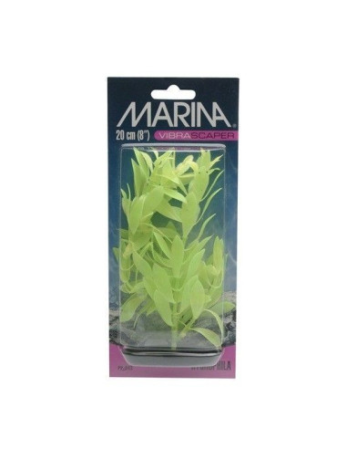 Marina Vibrascaper Med.  Hygrophila 20 Cm
