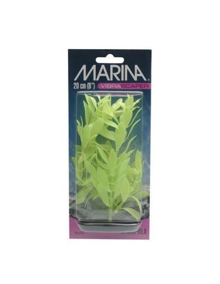 Marina Vibrascaper Med.  Hygrophila 20 Cm