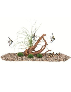 Fluval Decor Naturalist( Mopani /Piedra Musgo)
