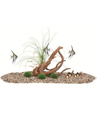 Fluval Decor Naturalist( Mopani /Piedra Musgo)