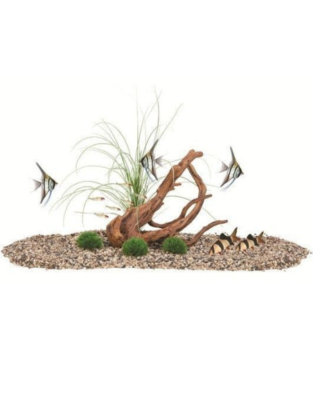 Fluval Decor Naturalist( Mopani /Piedra Musgo)