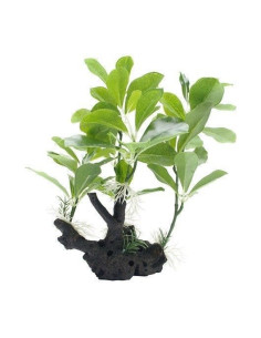 Fluval Decor Belgica Verde/Base 30 Cm