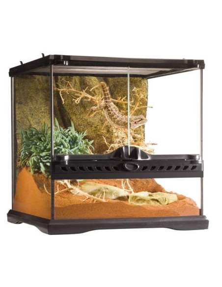 Terrario Mini