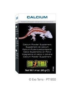 Exo Terra Calcio en Polvo 40g