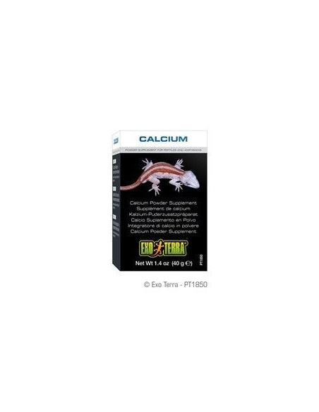 Calcio En Polvo 40 Gr