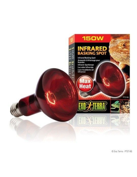 Heat Glo Infra-Rojo Nocturno 150 W