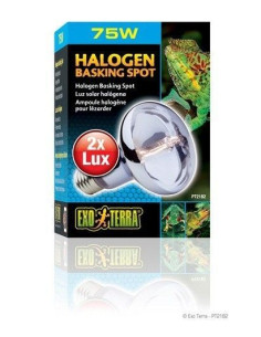 Exo Terra Halogen Basking Spot, 75W
