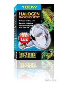 Exo Terra Halogen Basking Spot, 100W