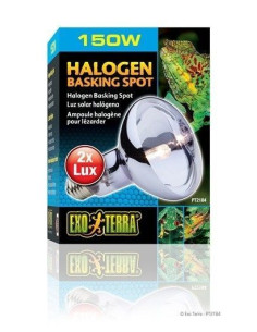 Sun Glo Halogeno 150 W