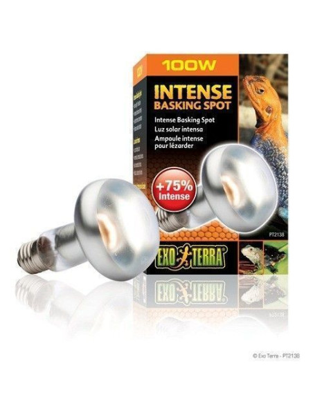 Foco Directo  100 W Sun Glo