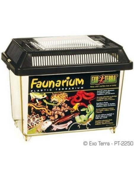 Exo Terra Faunarium, Mini