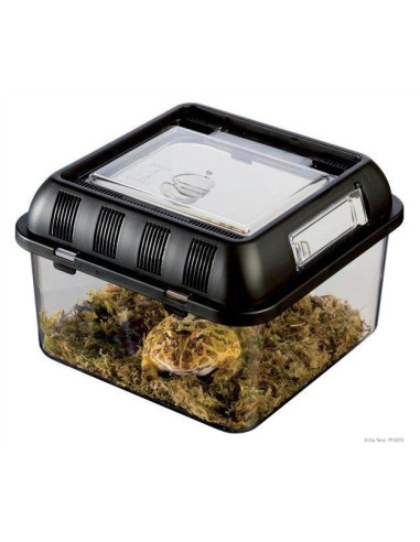 Terrario Plástico Breeding Box Pequeño