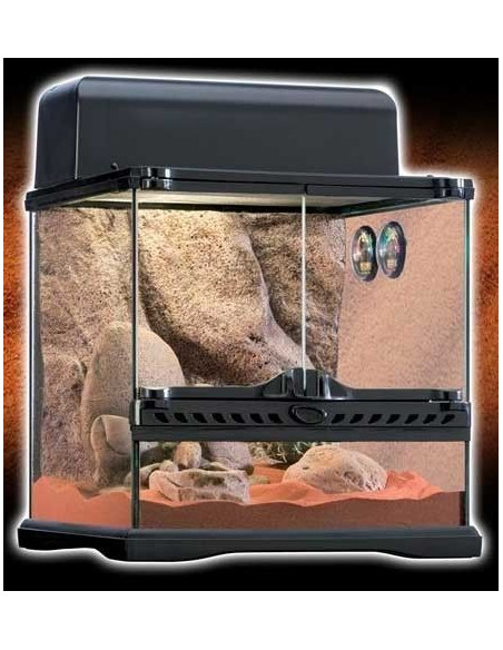 Exo Terra Habitat Kit Desértico 27L S. 30x30x30