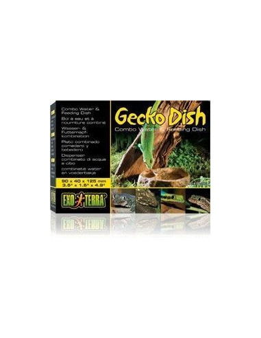 Comedero/Bebedero Gecko