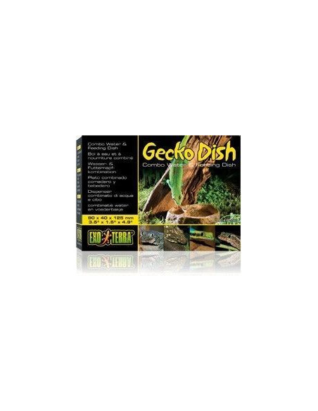 Comedero/Bebedero Gecko