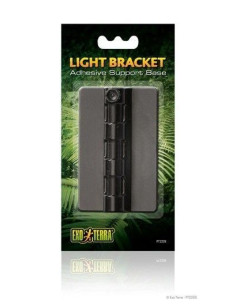 Base Adhesiva Bracket