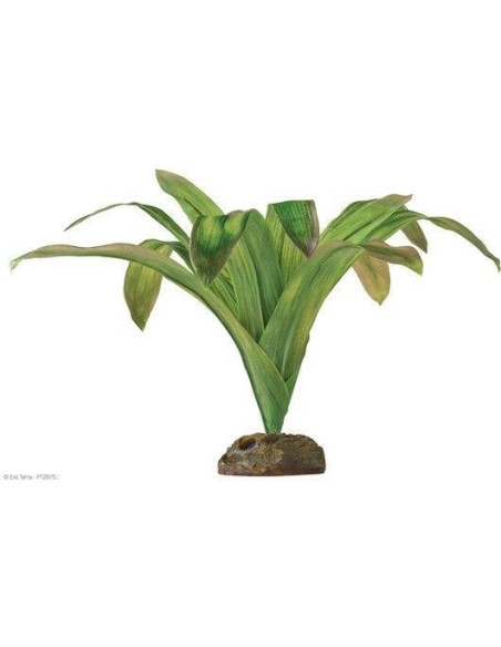 Smart Plant Gde (Bromelia)