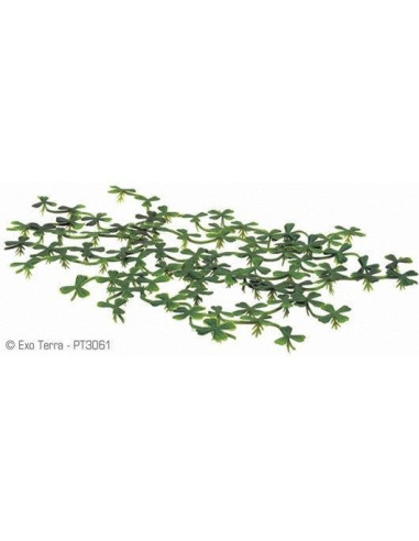 Exo Terra Planta Flotante Lenteja de Agua 15cm