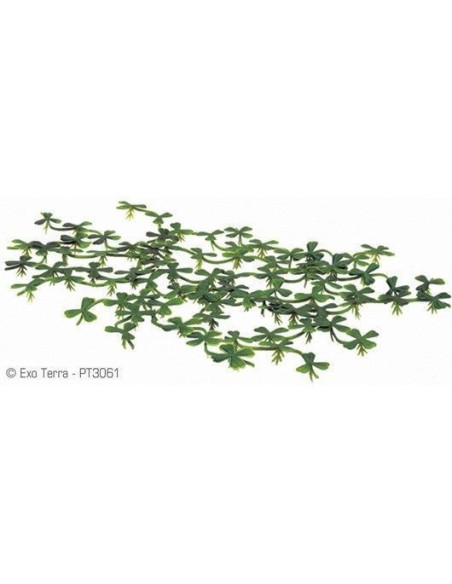 Exo Terra Planta Flotante Lenteja de Agua 15cm