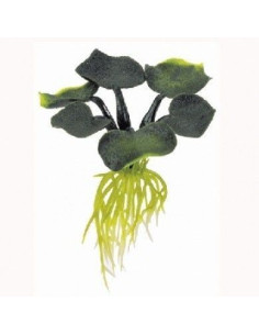 Plantas Flotantes Jacinto 15 Cm