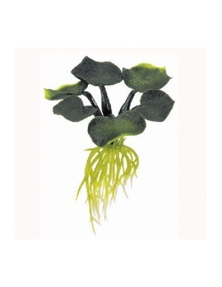 Plantas Flotantes Jacinto 15 Cm