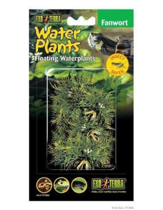 Plantas Flotantes Fanwort 15 Cm