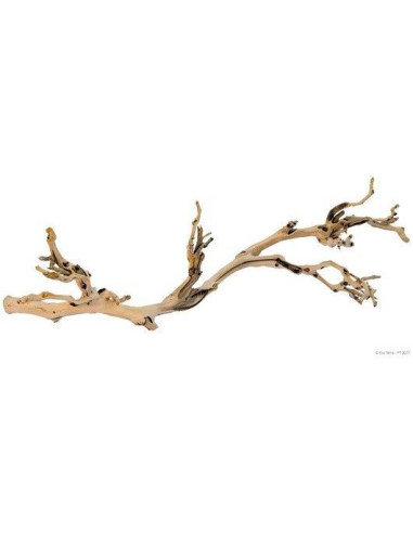 Forest Branch Gde. 60 Cm