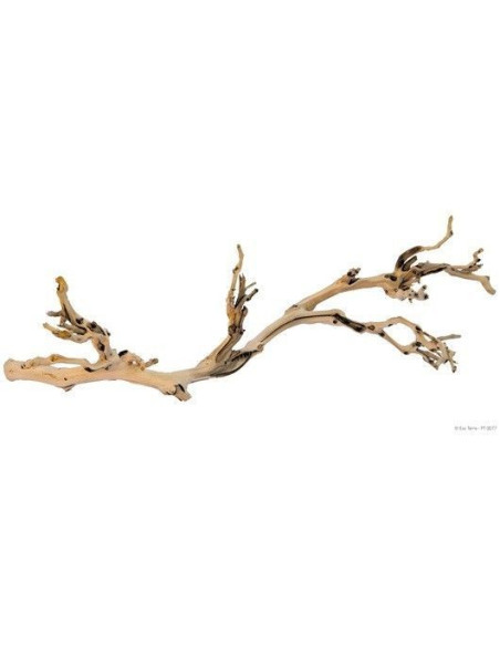 Forest Branch Gde. 60 Cm